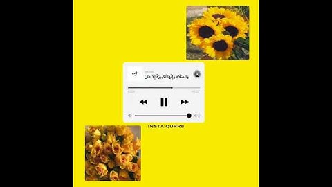 واستعينوا بالصبر والصلاة🌸،،القارئ عبد الرحمن مسعد✨💎