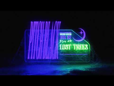 Lost Trees - Pitch Black (Official Visualizer)