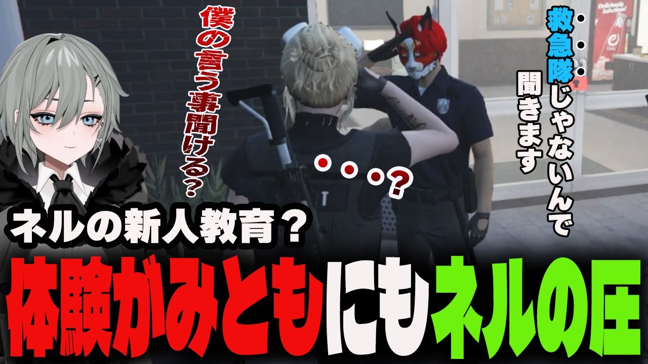 体験がみともの危機？圧がけを怠らないネルの新人教育