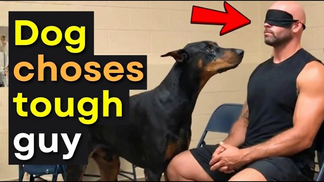 When Not a Single Dog Chooses You... 😭 But Then THIS Moment Changes Everything 🐶❤️