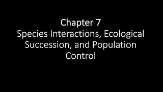 Celebrity APES Chapter 7 Presentation Wealth