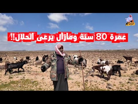 بادية الأردن وحياة البدو الاصيلة
