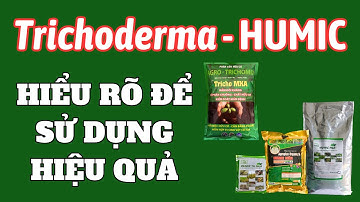 Hiểu rõ thông tin và tác dụng của Trichoderma và phân bón hữu cơ để sử dụng hiệu quả cao nhất