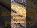 Fast & Efficient Peeling Solution Automatic Potato & Onion Peeler Machine #potatopeeler