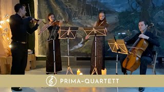Albinoni Adagio in g-moll | Beerdigung Musik | Streichquartett {Live}