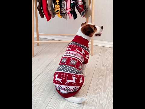 Светр для котів «Різдво», видео 1