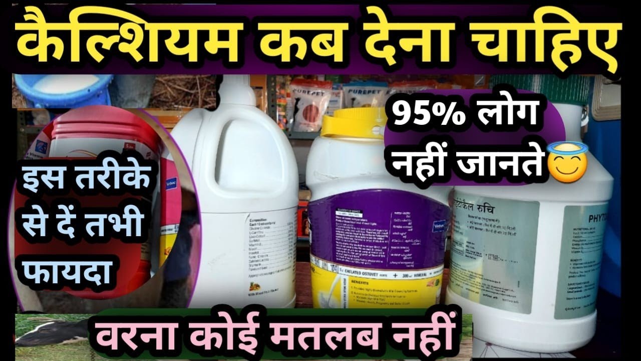 कैल्शियम कब देना चाहिए 95% लोग नहीं जानते😇इस तरीके से दें👉तभी फायदा Amazing Benifits Calcium 