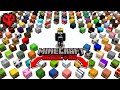 I collected every mob head in hardcore minecraft