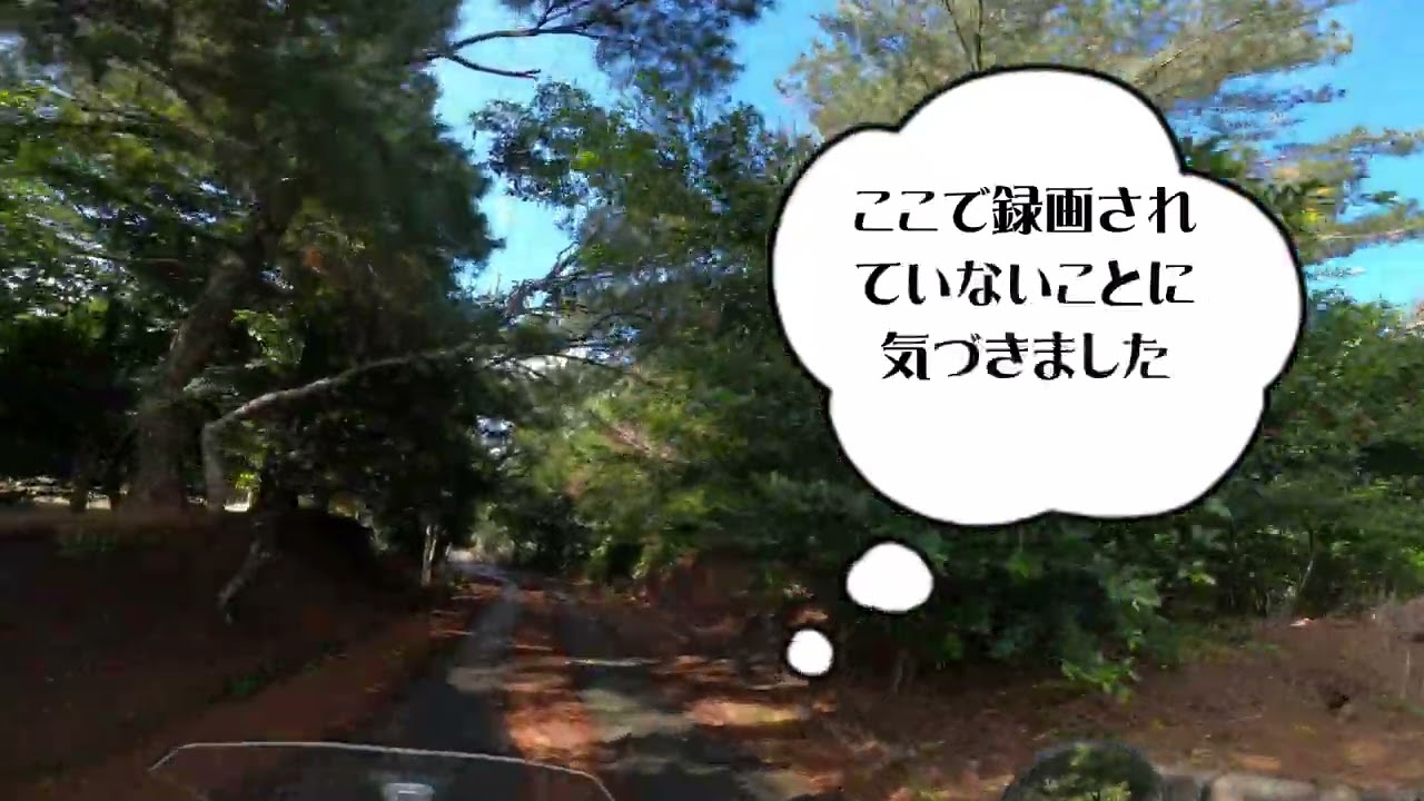 沖縄バイク【スーパー舗装林道】Oｒ快適ロードツーリング　半日コース  やんばる林道を西から東へ林道三昧①