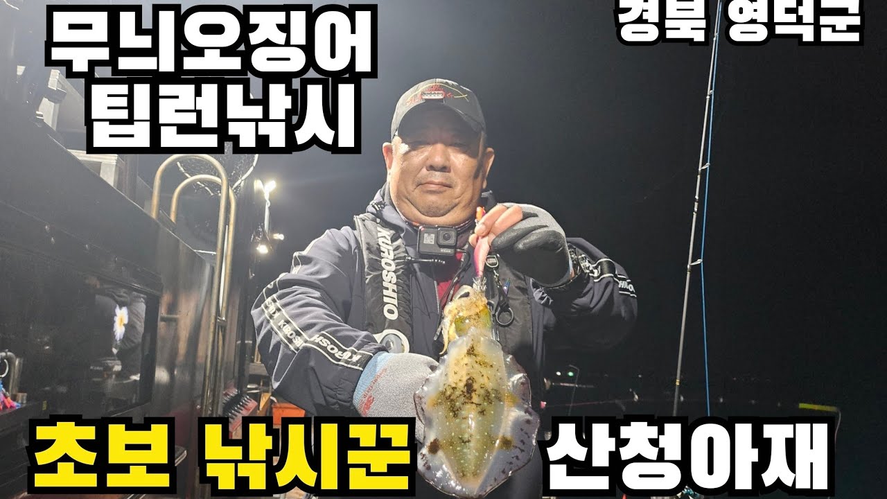 초보의 무늬 오징어 팁런 낚시 - 루어낚시 / 무늬오징어 / 영덕 / 축산항 / 팁런낚시