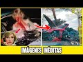Cuando La Fama Termina En La Carretera: Las Muertes Más Perturbadoras De Las Estrellas De Hollywood!
