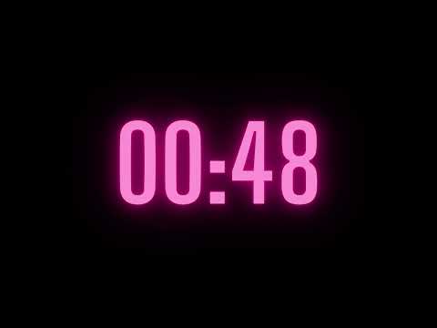 80 Second Timer with Alarm