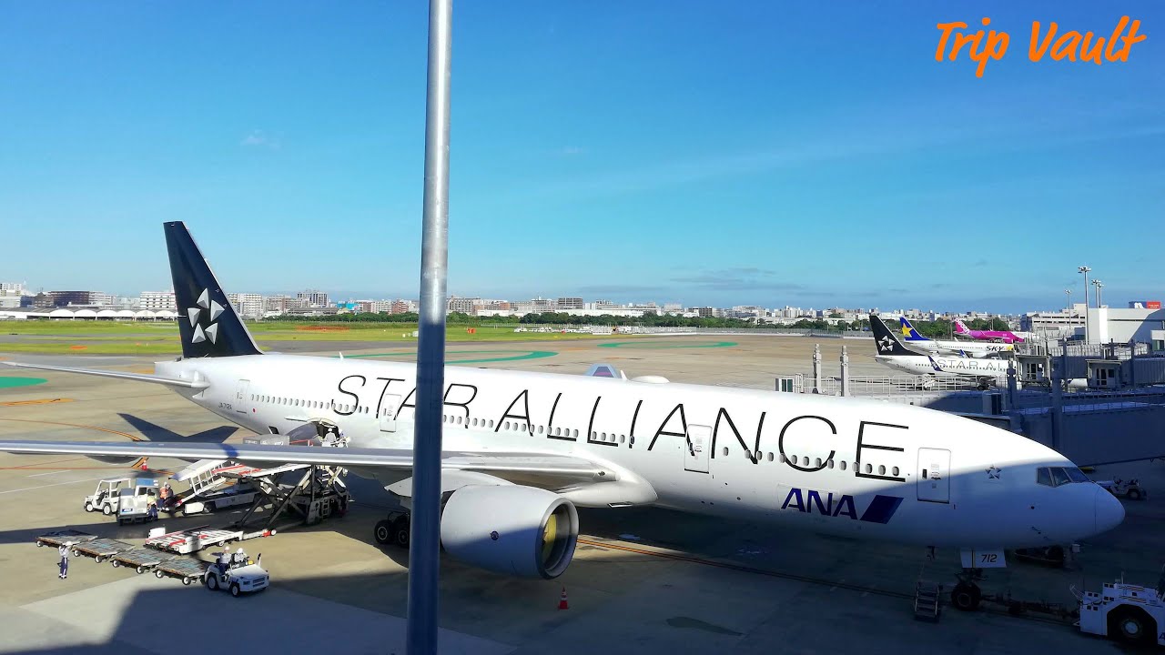 【4K/機窓展望】早朝便 (福岡空港 ⇒ 羽田空港) /  (Fukuoka ⇒ Haneda)