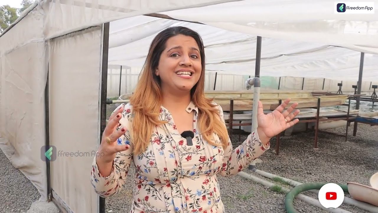 Spirulina Farming in Hindi How to Start Spirulina Farming? Spirulina Farming Tips