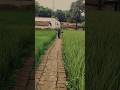 SUNDAY SPECIAL IN MY VILLAGE #villagerlifestyle #old village life #trending