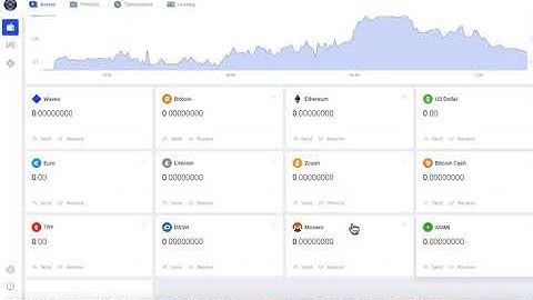 Waves Client Wallet Overview - PIN ASIMI