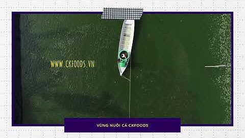 Vùng nuôi CKFoods thật nên thơ !