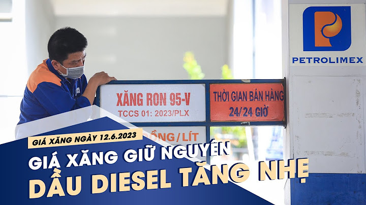 Giá dầu diesel trung bình năm 2023 năm 2024