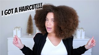 FINALLY Got a Haircut! Did I Find My New Stylist in Orlando?! | Natural Hair | Lyasia in the City