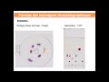 Ta6 chromatographie bts1 bioac