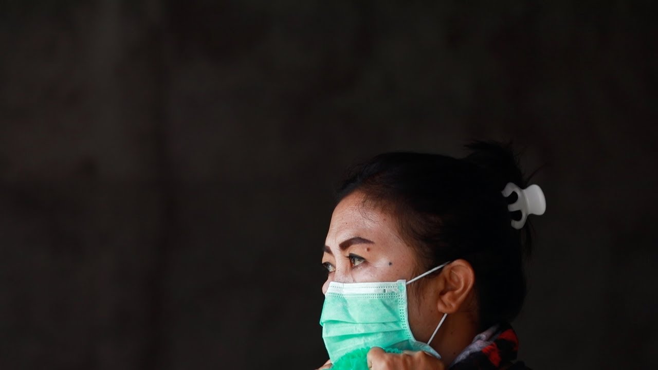 A Day in the Life Of a Balinese Veterinarian - YouTube