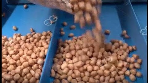 Peanut Roasting And Chopping Processing Machine Video From cara@machinehall.com 008613015518550