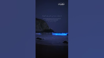 فصبرٌ جَميلٌ #quran #تلاوة_خاشعة #قرآن #قران_كريم #خالد_الجليل