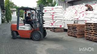 BONGKAR MUATAN WING BOX | KONTAINER | FORKLIFT | LOKAL INDONESIA