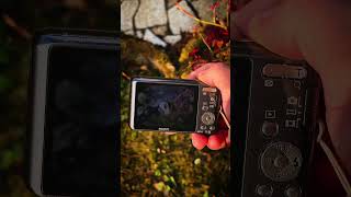 This OLD Sony Camera Takes INSANE Photos?! 📷🔥 (Sony DSC-w570 Test) #digicam #camera #photography