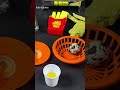 PECAHIN TELUR MINI ‼️ Mau dibikin apa yaa? | Mini Kitchen | Dapur Mini