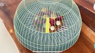 Big News! Scanning without a Qlone mat is now possible! (iOS Only*)