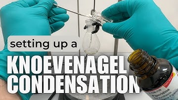 Knoevenagel Condensation. Doebner Modification. Verley Modification. Reaction Mechanism and Set Up.