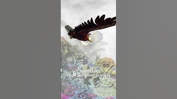 CARTESIA - VR/360 animated sci-fi short film #scifi #fractal #vr #vr360 #film #fractals #futuristic