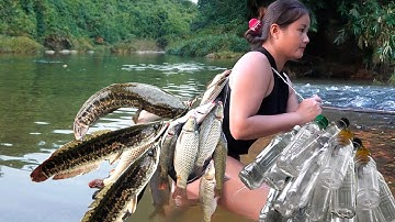 Overnight fish trap with plastic bottles - Win big with snakehead fish, grass carp on the stream