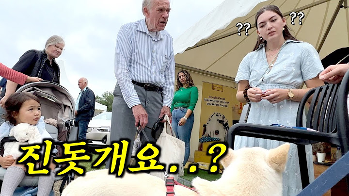 네덜란드 사람들에게 진돗개라고 했더니 반응이..