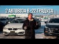 Приход свежих автомобилей с аукциона Японии. Разгрузили 2 автовоза.