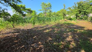 2 lots for sale in Catarina🙏🙏