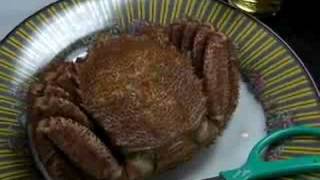 オホーツク雄武産の毛ガニ