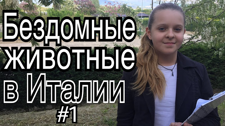 Бездомные животные в Италии ч.1 (на русском)