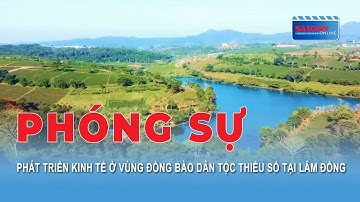 Phóng sự: Phát triển kinh tế ở vùng đồng bào dân tộc thiểu số tại Lâm Đồng