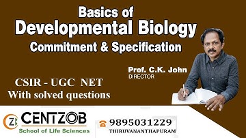 Basics Of Developmental Biology   Commitment & Specification