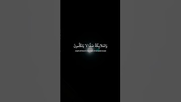 يَوْمَ يَقُومُ الرُّوحُ وَالْمَلَائِكَةُ صَفًّا (38) | سورة النبأ