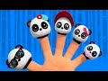 Baby Bao Panda Finger Family | Baby Songs For Childrens And Kids