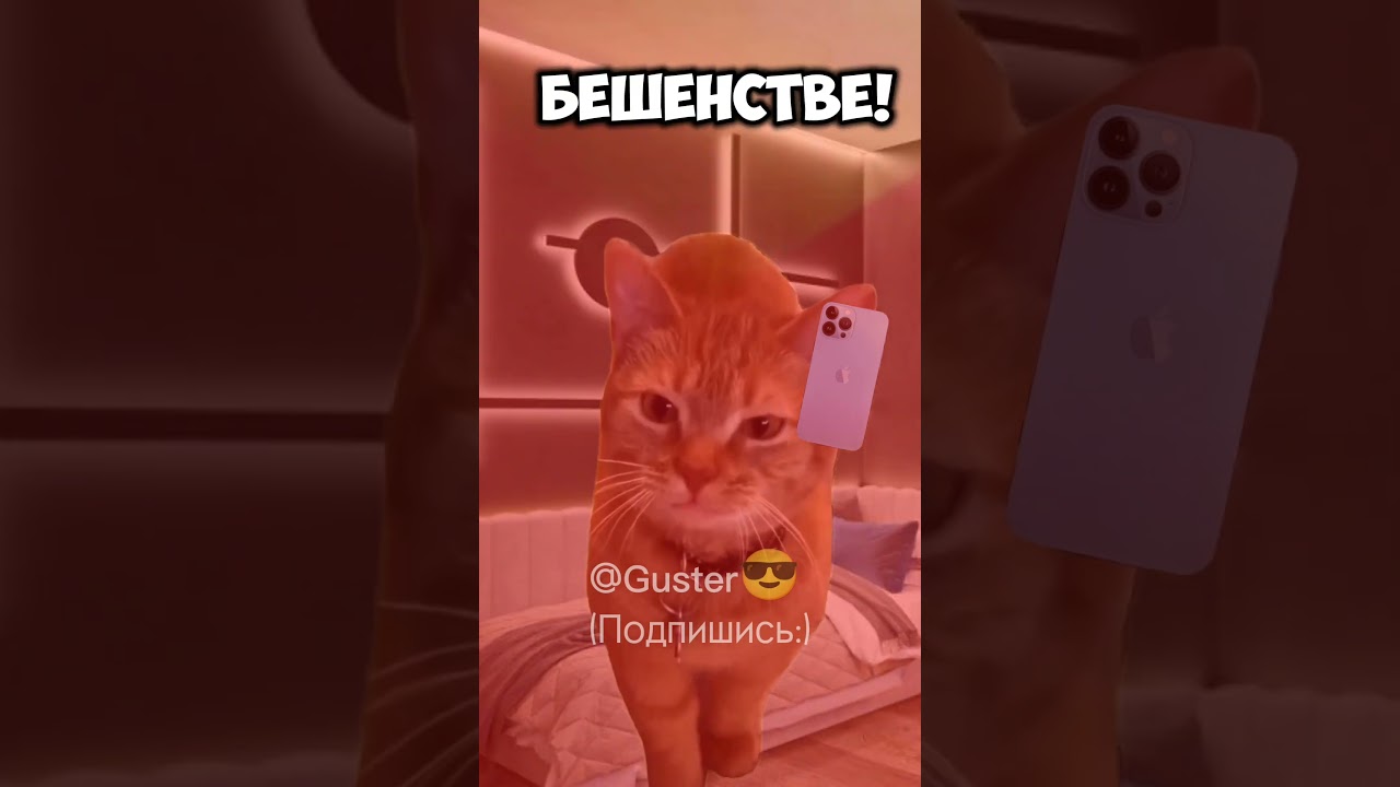 ❗АХАХАХ, КОНЦОВКА...😱 