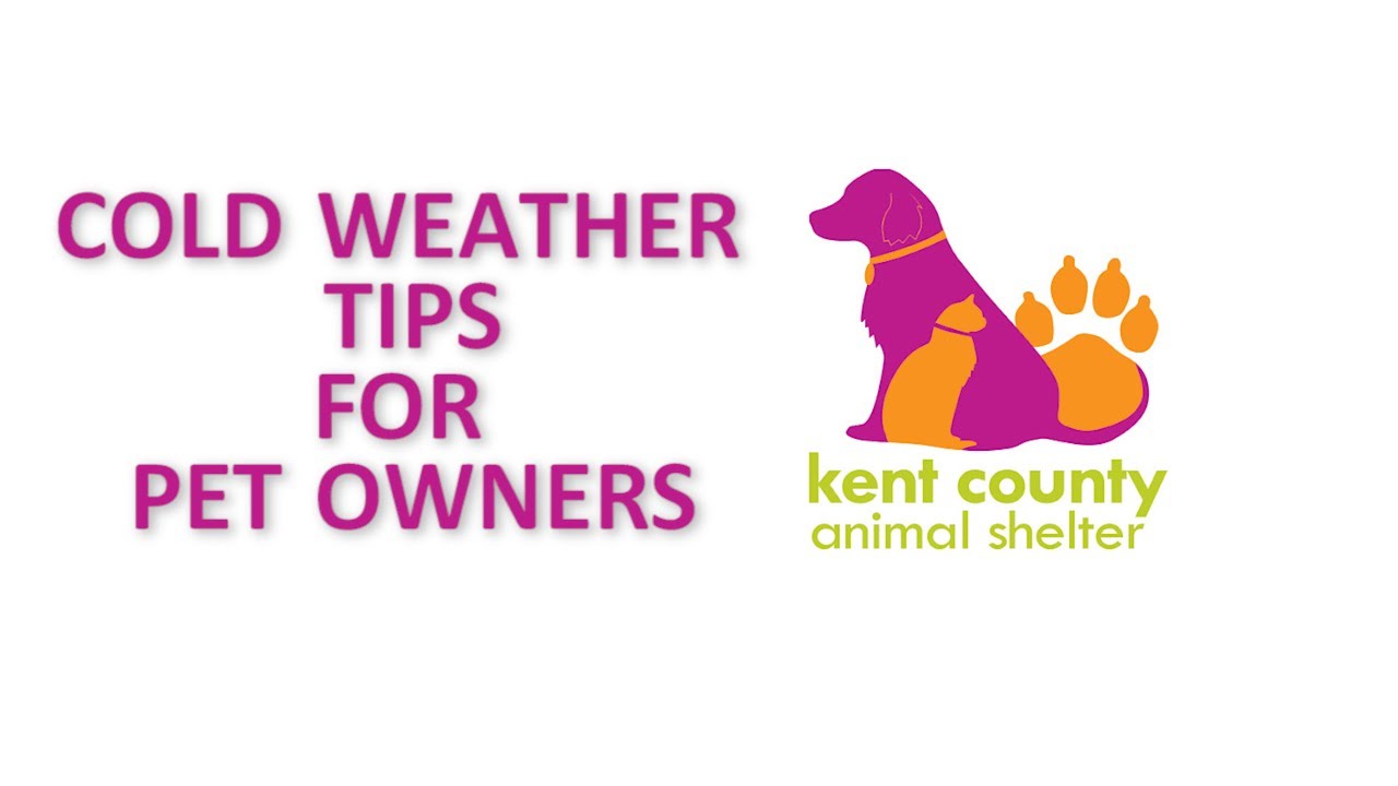 KCAS Cold Weather Tips for Pet Owners 12 2021 - YouTube