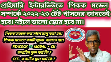 PEACOCK MODAL // Peacock Model 👍 2024 Voorverkiezingsinterview.