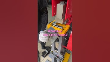 Multifunctional punching and shearing machine