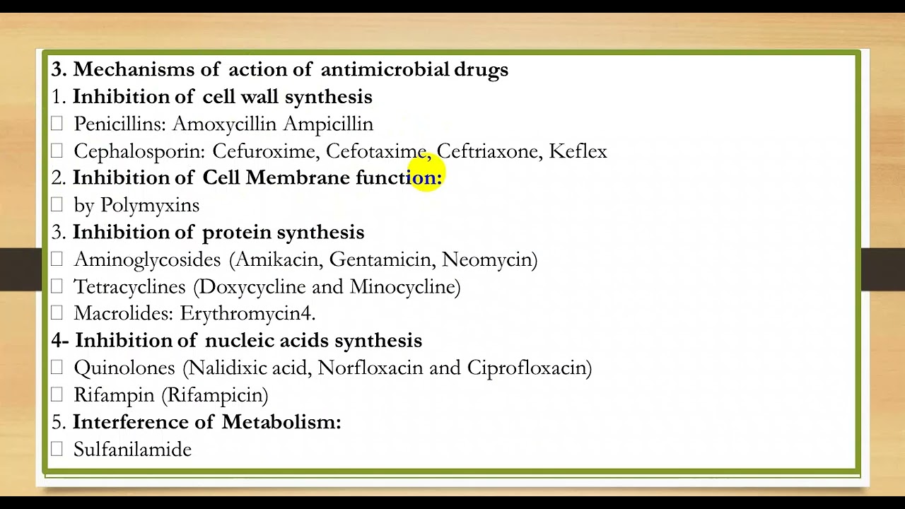 Antimicrobial therapy الكلية الجامعية الفصل السابع أحياء دقيقة