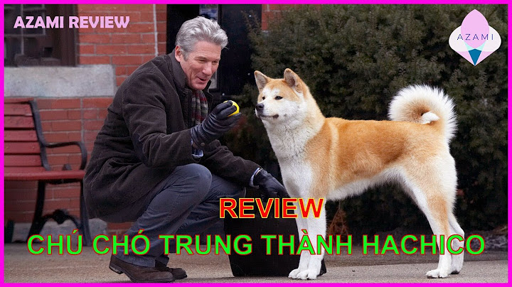 Chú chó trung thành hachiko review