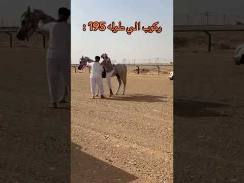 اسهل طريقة لروكب الخيل